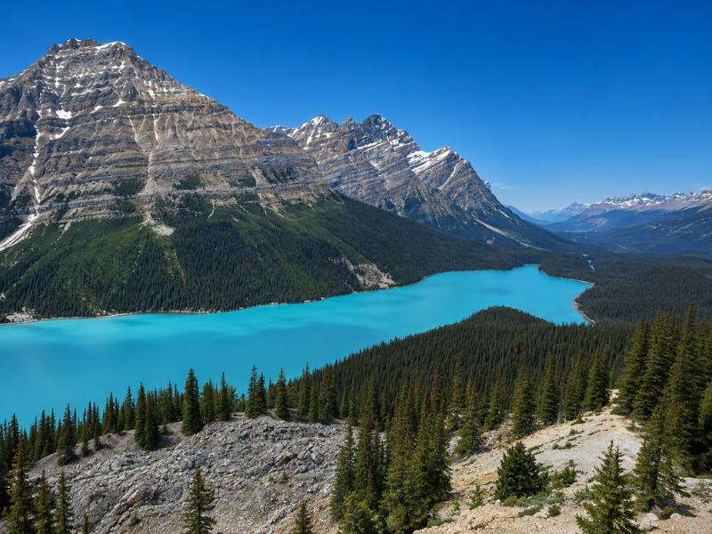 Lake Louise to Jasper One-Way Glacier Journey