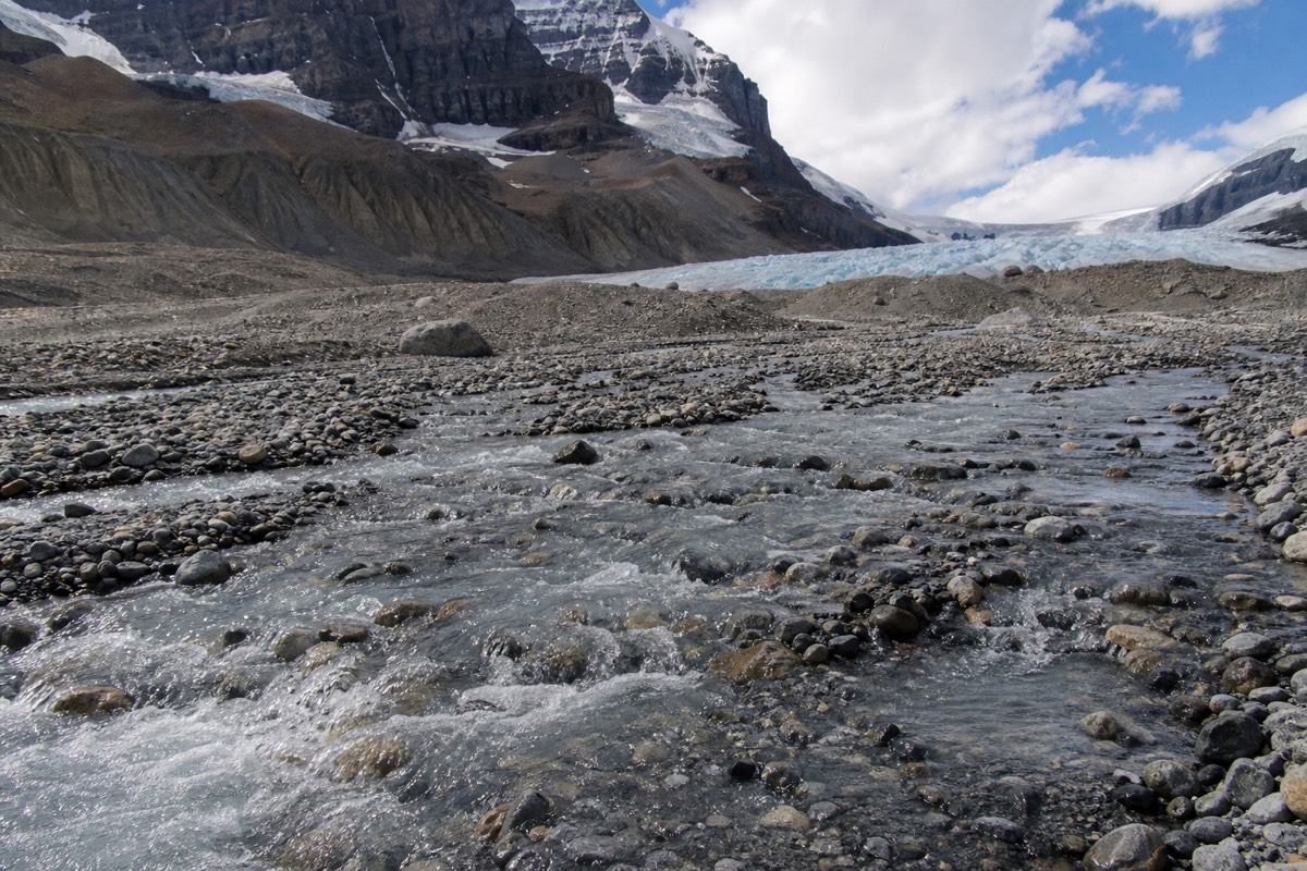 Meltwater running off the toe of the Athabasca Glacier