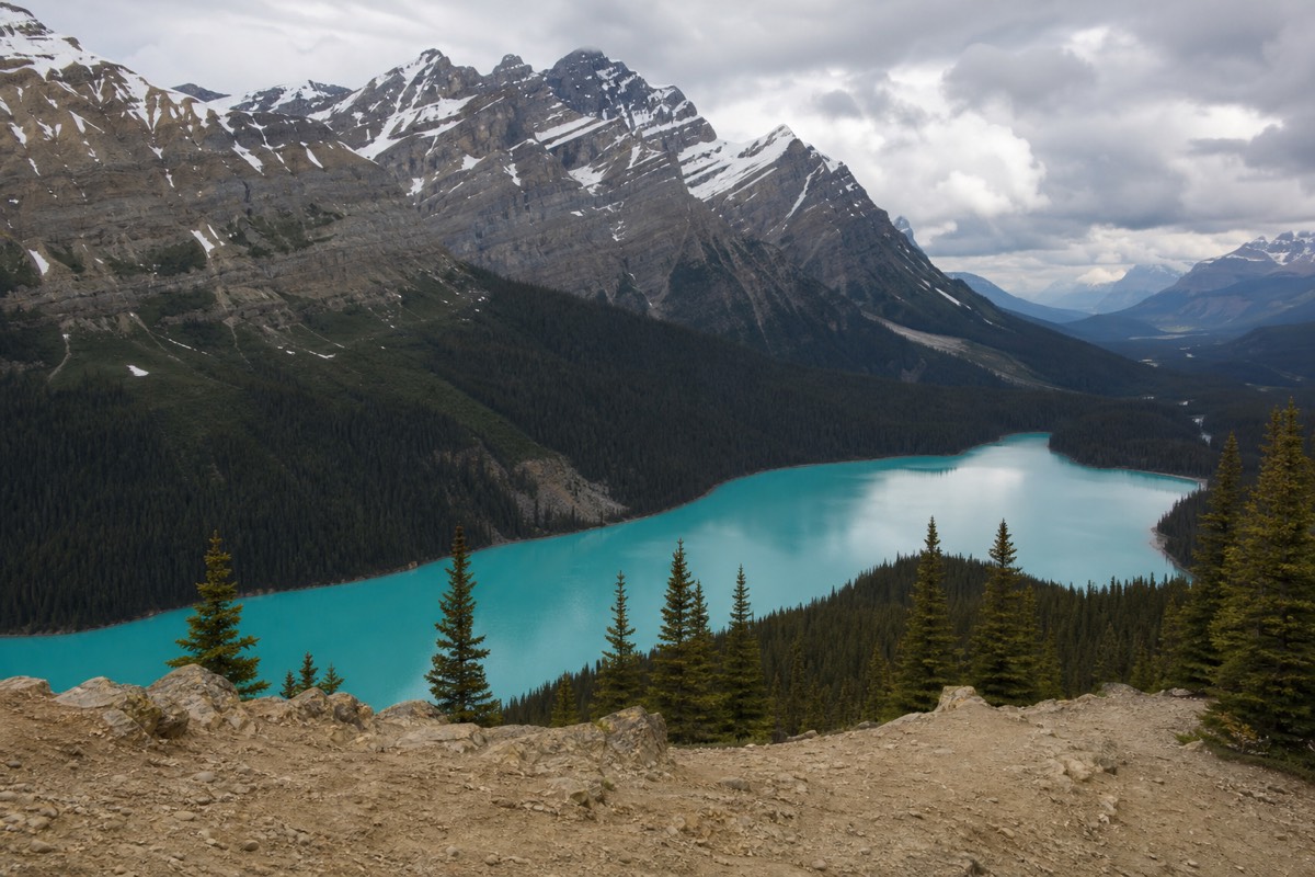 The wolf-head turquoise of Peyto Lake