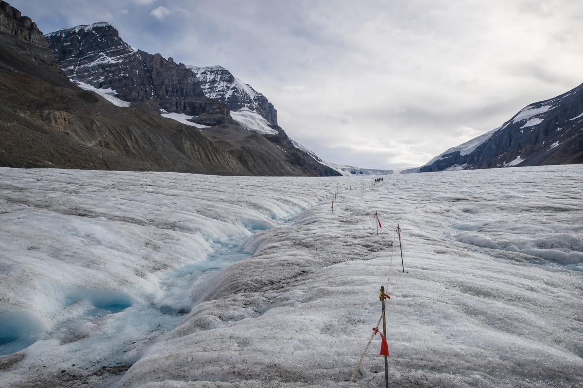 A guided walk on the Athabasca Glacier